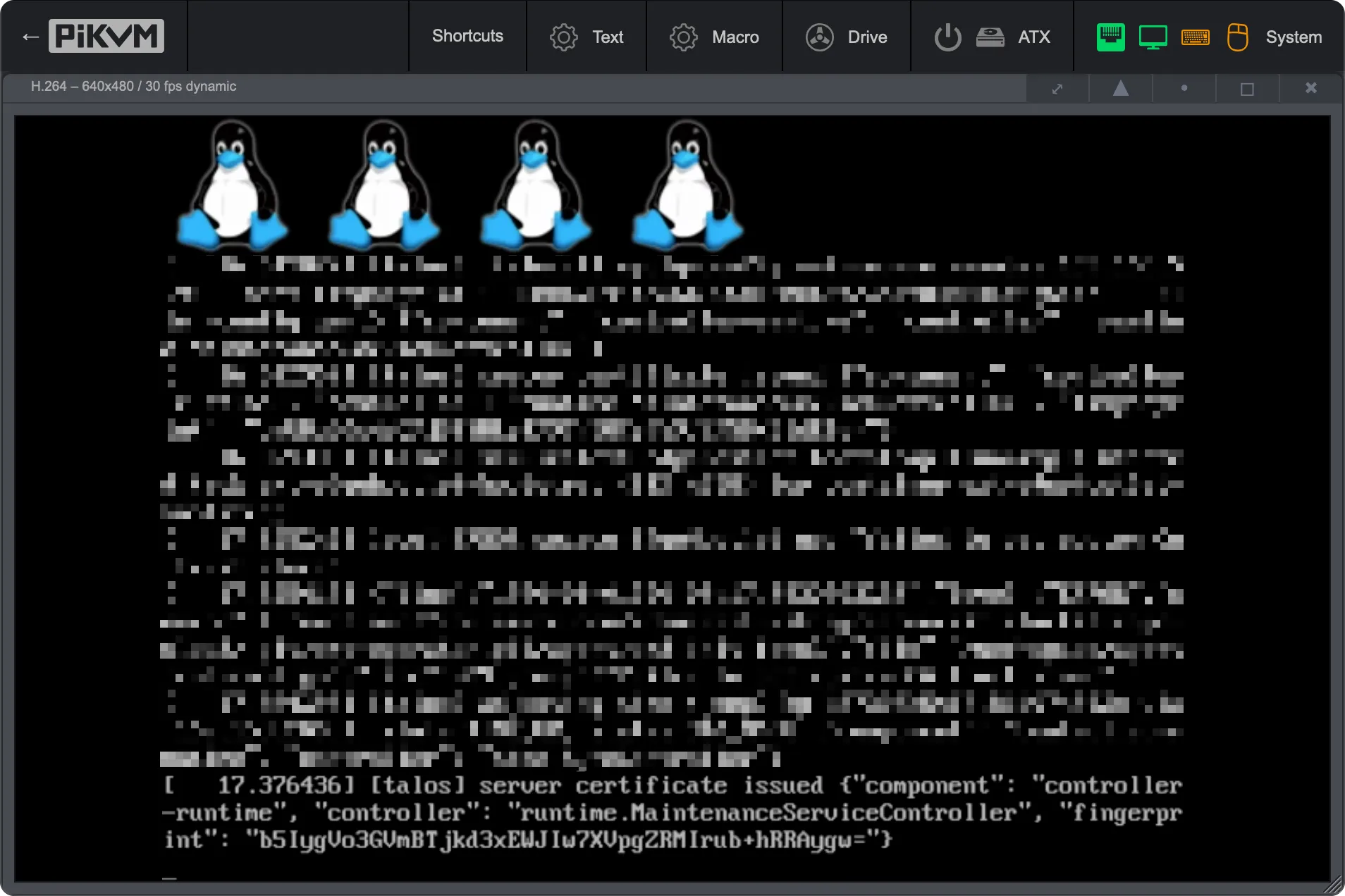 PiKVM Console Showing Talos Boot Messages. A black terminal screen, likely from a PiKVM console. Four Linux penguin mascots (Tux) are displayed at the top. The visible text at the bottom includes a timestamp and a message: [ 17.376436] [talos] server certificate issued ("component": "controller-runtime", "controller": "runtime.MaintenanceServiceController", "fingerprint": "b51ygVQo3GUmBTjKd3xEWIu7XUPgZRMIrub+HRRAygw="), indicating part of the secure control-plane initialization process for Talos Linux.