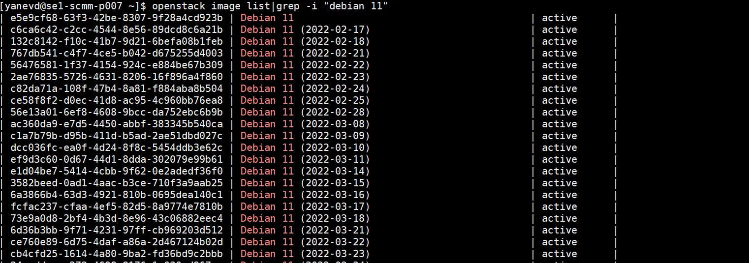 A screenshot of a Linux terminal showing the output of an OpenStack command to list virtual machine images(Debian). The command executed is openstack image list