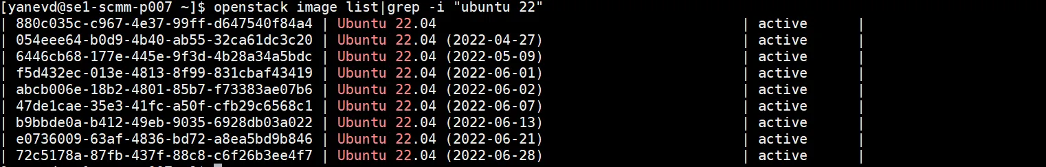 A screenshot of a Linux terminal showing the output of an OpenStack command to list virtual machine images(Ubuntu). The command executed is openstack image list