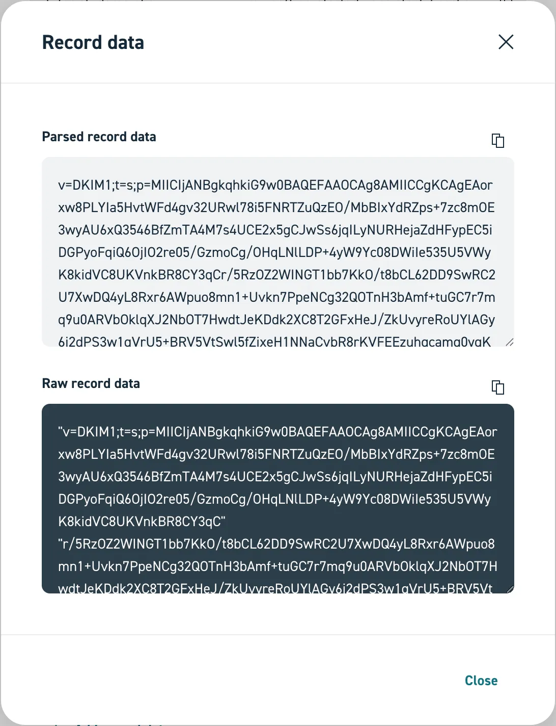 Screenshot vom Hinzufügen eines langen TXT-Eintrags mit der Detailsicht auf den Nutzlast