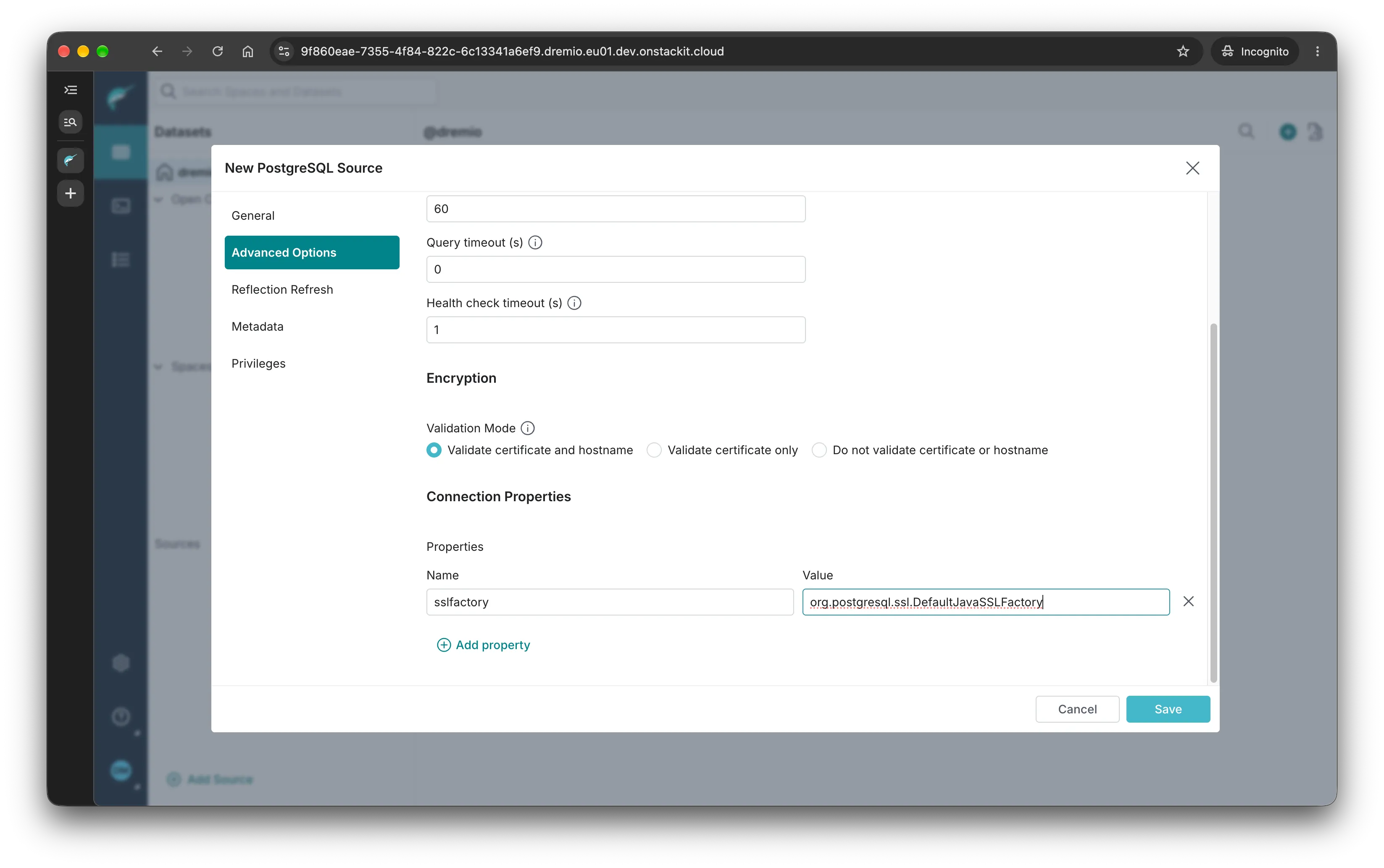 Screenshot of the Advanced Options Postgres Dremio source options