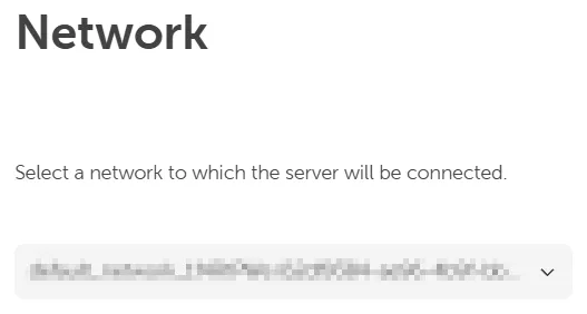 Abschnitt „Netzwerkkonfiguration", der das Dropdown-Feld zur Auswahl eines Netzwerks für den Server zeigt.