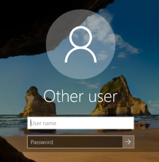 Windows server login screen for 'Other user', showing input fields for user name and password.