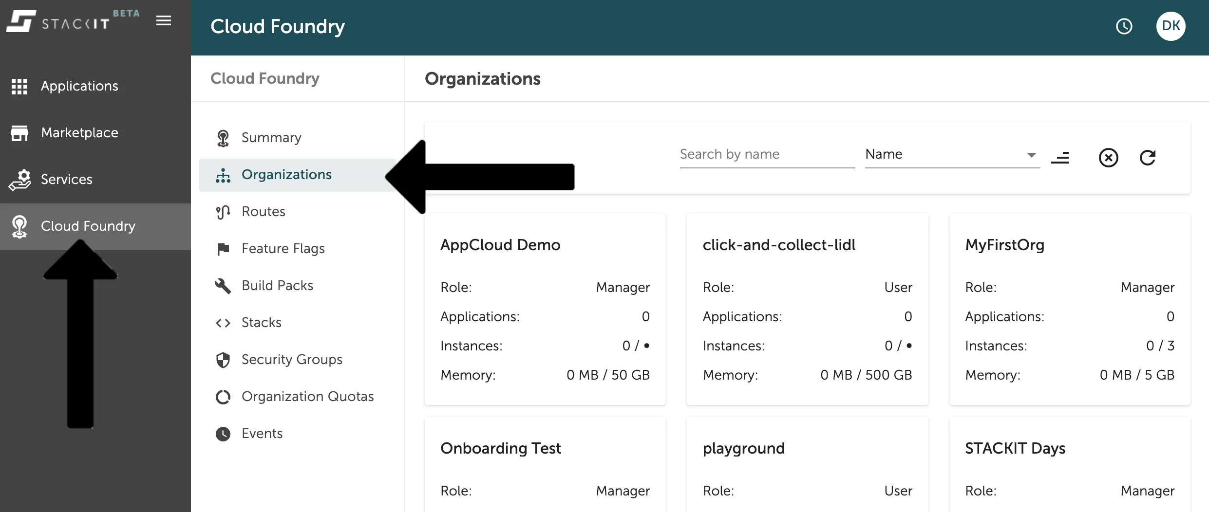 The organization overview within the Cloud Foundry tab on the left side navigation.