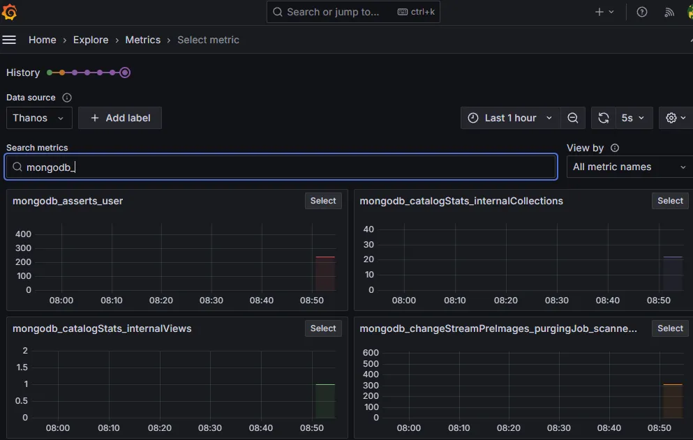 MongoDB Flex Metriken in Grafana