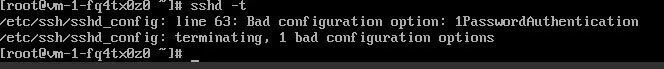 A Linux terminal screenshot showing an error while checking the SSH daemon configuration. The command sshd -t is run, and the output shows: /etc/ssh/sshd_config: line 63: Bad configuration option: 1PasswordAuthentication followed by /etc/ssh/sshd_config: terminating, 1 bad configuration options. This indicates a configuration error on line 63 of the sshd_config file due to a misspelled or invalid option.